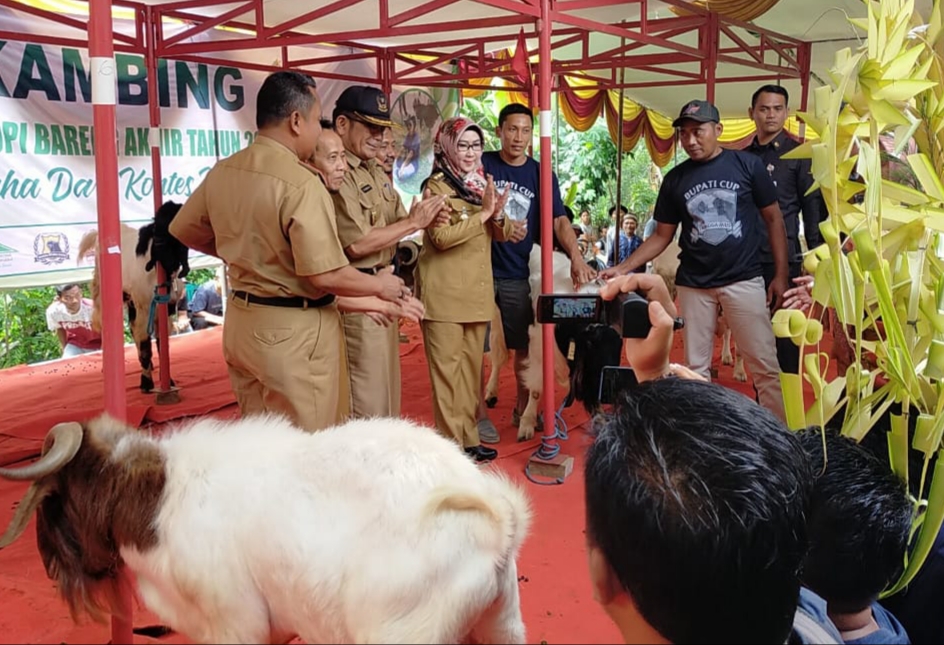 Kontes Kambing Ternak Asponak dibuka Langsung Oleh Bupati Tanggamus
