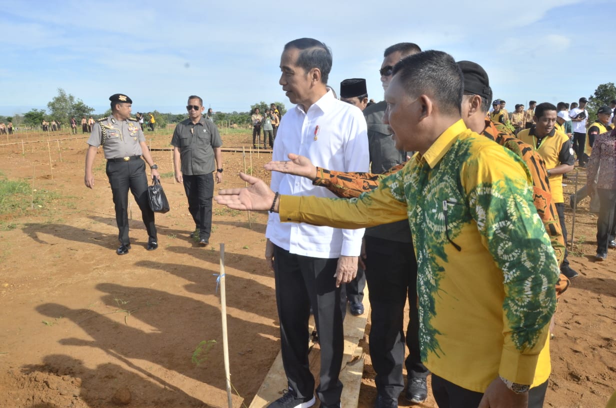 PWI Lampung Dan Jokowi Tanam Pohon Bareng
