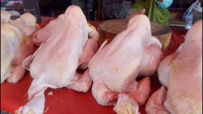 Bak Tradisi, Harga Daging Ayam dan Sapi di Bandar Lampung Alami Kenaikan Harga saat Awal Ramadhan