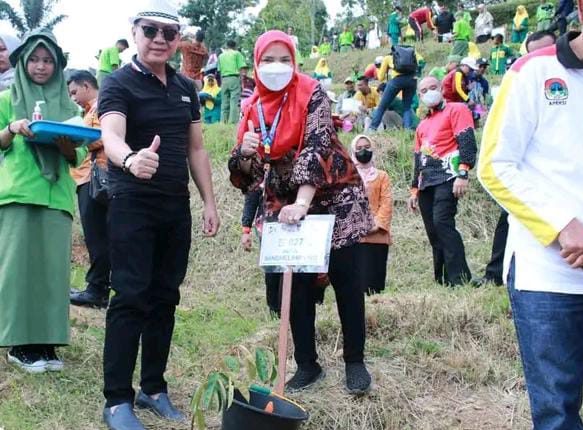 Walikota Bandar Lampung Tanam Bibit Durian di Agrowisata Sungai Lareh Padang