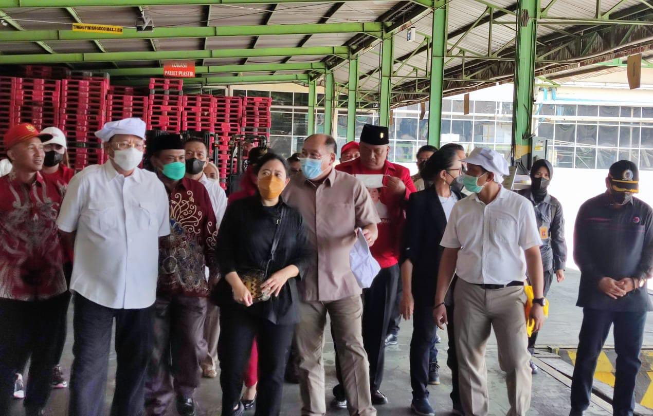 Mingrum Gumay Dampingi Puan Maharani Lakukan Pelepasan Ekspor Nanas di GGP