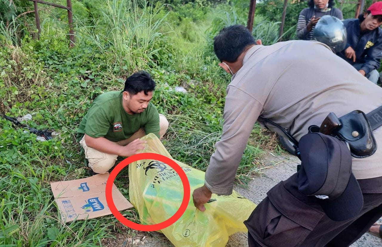 Bikin Geger! Dikira Bangkai Kucing, Ternyata Jasad Bayi Berada Disemak-Semak
