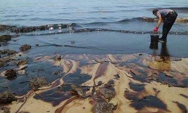 Laut Lamtim Sudah di Uji Lab Usai Tercemar Limbah, Ternyata Hasilnya…