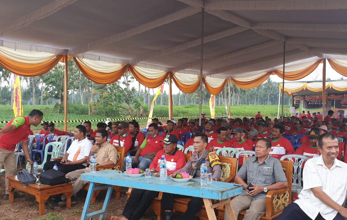 Bakal Gak Boncos, Ini Solusi Agricon Indonesia Untuk Petani Jagung Di Lampung Timur