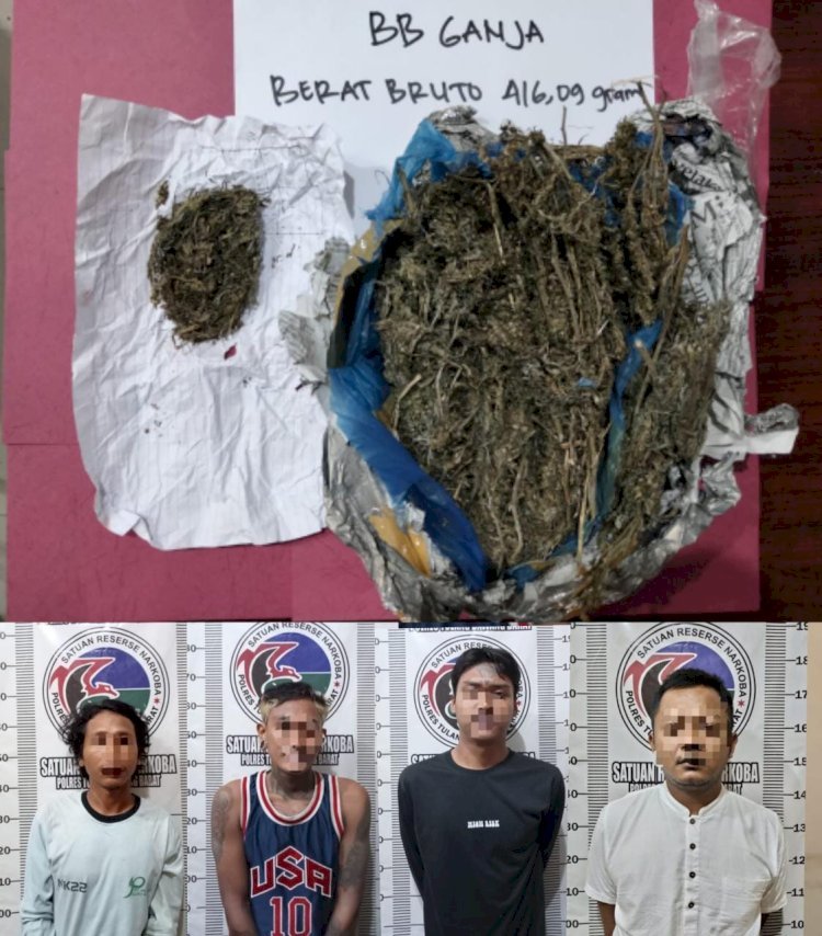 Polres Tubaba Berhasil Amankan 4 Pemuda Pengedar Ganja