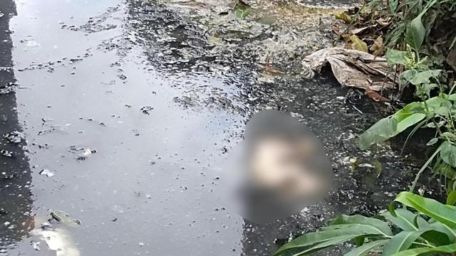 Jasad Bayi Ditemukan Mengambang di Kolam Bekas Pembuangan Sampah Pringsewu, Kondisinya Mengenaskan!