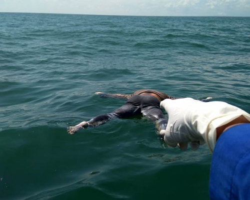 Mayat Mengambang di Pantai Sukaraja Telah Terkonfirmasi Identitasnya, Ternyata Kru Kapal KM Ferindo 7