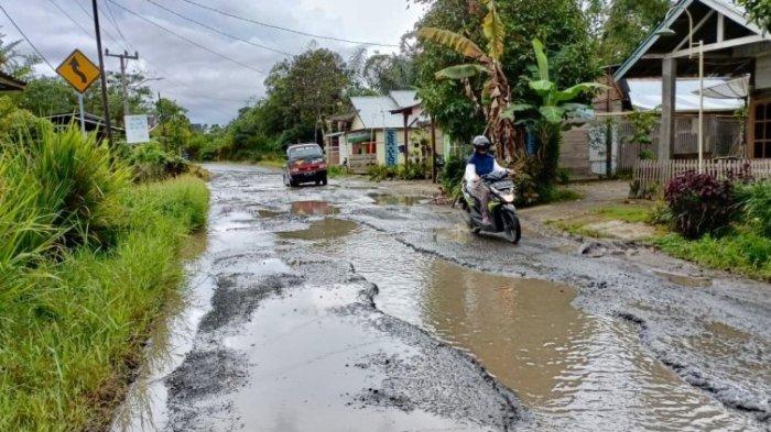 Miris ! Jalan Perbatasan Lambar-Pesisir Barat Alami Kerusakan Semakin Parah