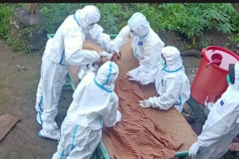 Seorang Anak di Belalau Lampung Barat Meninggal Dunia Karena Suspek Difteri