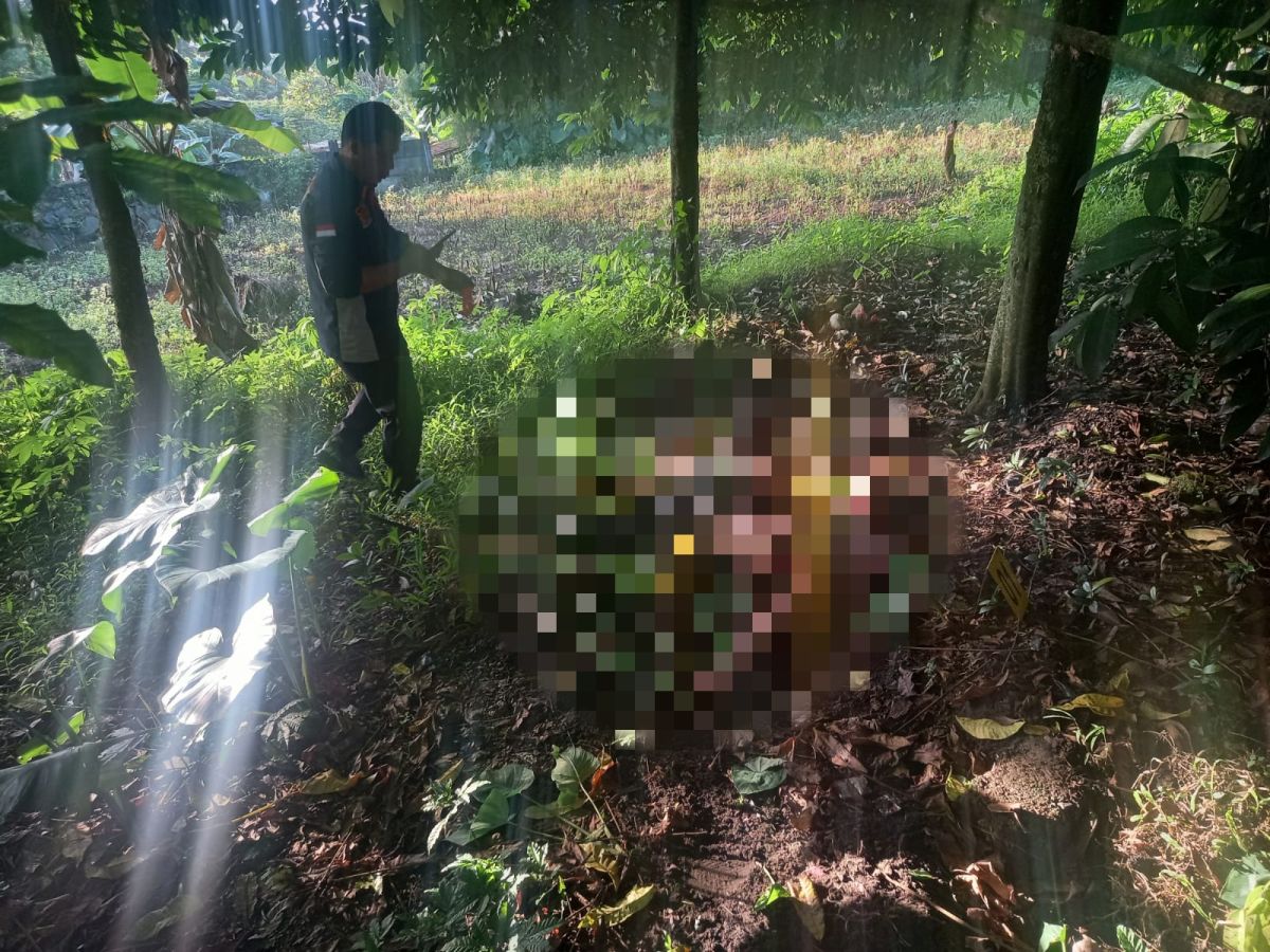 Tragis ! Sopir Taksi Online Dibunuh & Ditemukan Jasadnya di Tol Jagorawi