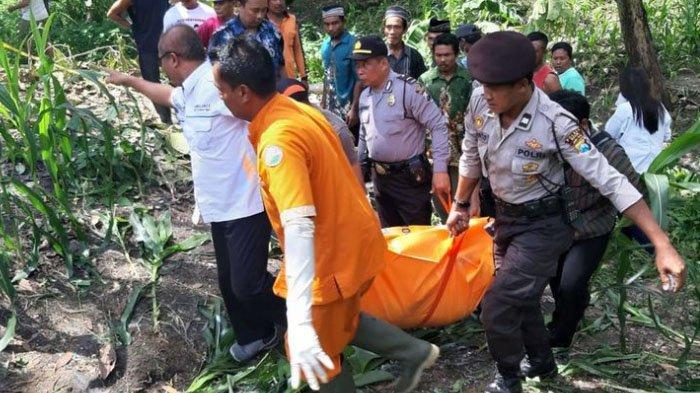 Mayat Perempuan Tanpa Busana Ditemukan di Kebun Jagung di Ngawi