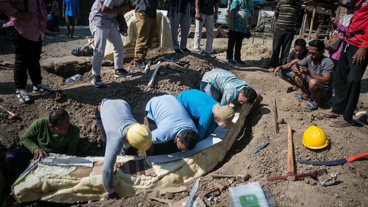 Sebuah Fosil Gading Gajah Purba Usia 800.000 Tahun Ditemukan, Penemu Dapat Kompensasi Rp 1 Juta