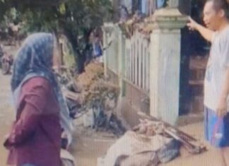 Lesty Putri Utami Anggota DPRD Lampung Tinjau Korban Banjir