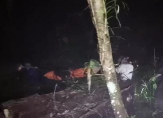 Pendaki Asal Tanggamus Ditemukan Tewas di Gunung Pesagi
