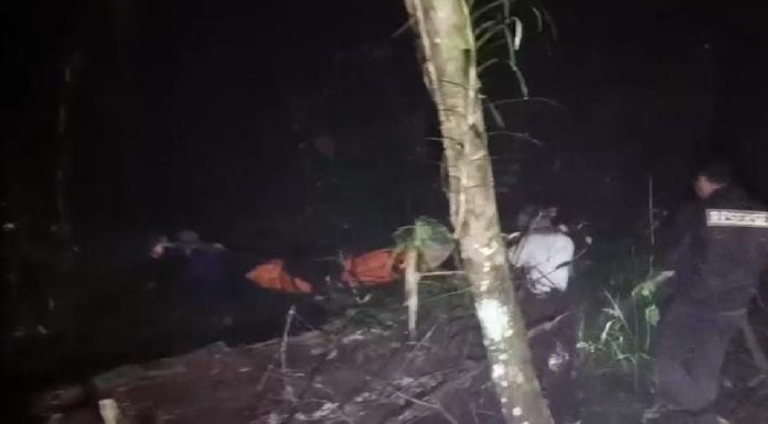 Pendaki Asal Tanggamus Ditemukan Tewas di Gunung Pesagi