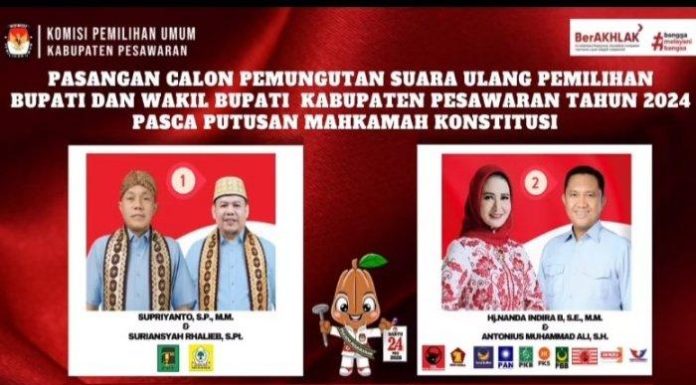 Pantau Hasil PSU Pilkada Pesawaran 2025 Melalui Portal Resmi KPU RI, Ini Caranya