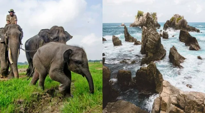 10 Tempat Wisata Paling Hits di Lampung yang Wajib Dikunjungi