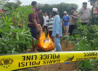 Penemuan Mayat Seorang Guru Perempuan di Ladang Singkong Gegerkan Warga Tulang Bawang