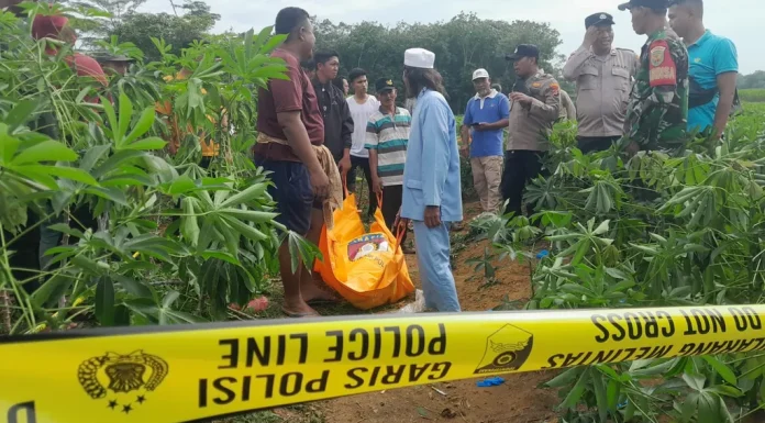 Penemuan Mayat Seorang Guru Perempuan di Ladang Singkong Gegerkan Warga Tulang Bawang