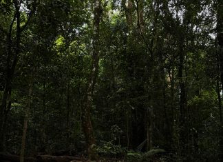 Program Sekolah Gratis di Lampung, EKom-LMND IIB Darmajaya Tegaskan Dukungan Penuh dan Siap Kawal Sampai Tuntas demi Hapus Pungli dan Wujudkan Pendidikan untuk Rakyat.