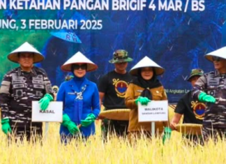 Wali Kota Eva Dwiana Hadiri Kunjungan KSAL & Menteri RI di Pesawaran: Peninjauan Program Ketahanan Pangan dan Dapur Umum MBG