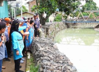 Eva Dwiana Sisir Sungai Pascabanjir: Siapkan Bronjong, Bongkar Saluran Tertutup, dan Usul Bangun Embung