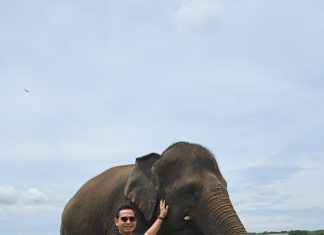 Akhir Tahun ke Lampung: Sebuah Perjalanan Menyusuri Pantai, Gunung, dan Harum Kopi di Ujung Sumatera