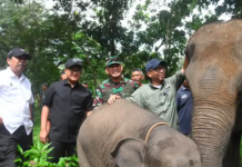 Ketua DPRD Tegaskan Pengawasan Intensif Terhadap Pelestarian Lingkungan dan Mirigasi Konflik Satwa di Waykambas