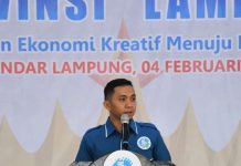 Politik Lokal Makin Mahal, Tapi Untuk Apa?