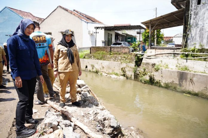 WhatsApp Image 2026-04-07 at 10.44.18