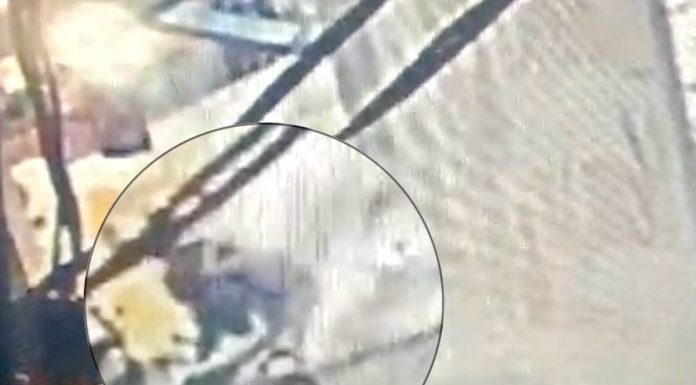 Pelaku Penembakan Polisi di Bandar Lampung Akhirnya Ditangkap, Satu Pelaku Tewas Ditembak