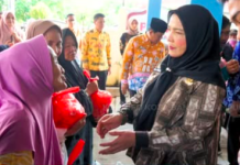 Pemkot Bandar Lampung Salurkan Bantuan Beras untuk Warga, Ribuan KPM Jadi Prioritas Pemenuhan Pangan