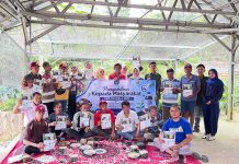 Manfaatkan Gulma Kirinyuh Jadi Pestisida Nabati, Dosen Politeknik Negeri Lampung Dampingi Petani Kakao di Desa Sukoharjo 1 Kurangi Ketergantungan Pestisida Kimia