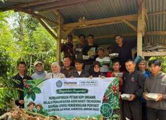 Dosen POLINELA Dampingi Petani Kopi Organik Lampung Barat Manfaatkan Trichoderma