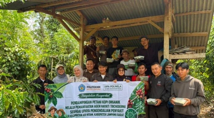 Dosen POLINELA Dampingi Petani Kopi Organik Lampung Barat Manfaatkan Trichoderma