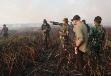 Karhutla Way Kambas Meluas, Pemerintah Perkuat Operasi Darat dan Udara hingga Kerahkan Tim Alfa TNI