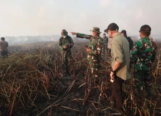 Karhutla Way Kambas Meluas, Pemerintah Perkuat Operasi Darat dan Udara hingga Kerahkan Tim Alfa TNI