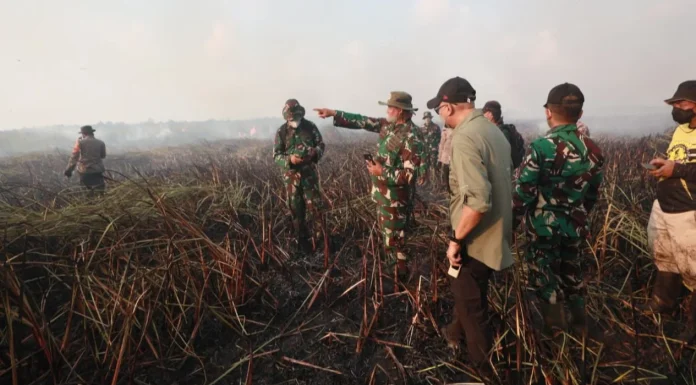 Karhutla Way Kambas Meluas, Pemerintah Perkuat Operasi Darat dan Udara hingga Kerahkan Tim Alfa TNI