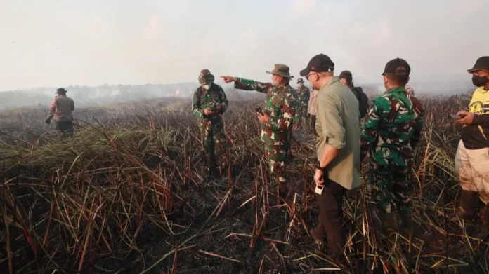 6a8c3898337a1-gubernur-lampung-rahmat-mirzani-djausal-memimpin-proses-pemadaman-kebakaran-lahan-dan-hutan-di-tnwk-lampung-timur_lampung