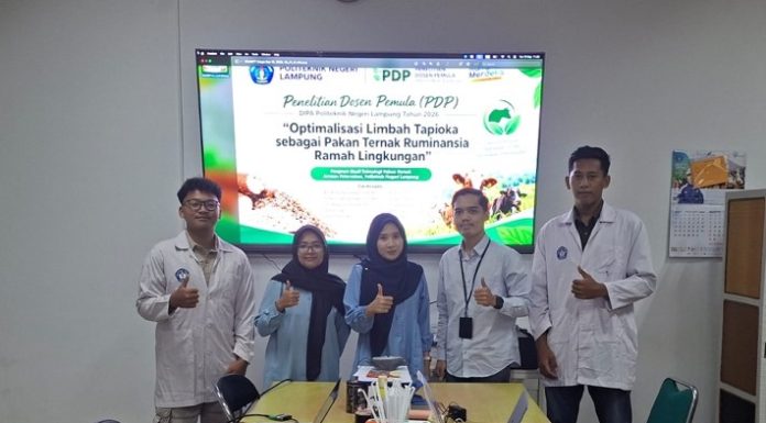 Ubah Limbah Jadi Pakan Ternak: Dosen dan Mahasiswa Polinela Kembangkan Pakan Ternak Ramah Lingkungan dari Ampas Tapioka dan Kulit Kopi